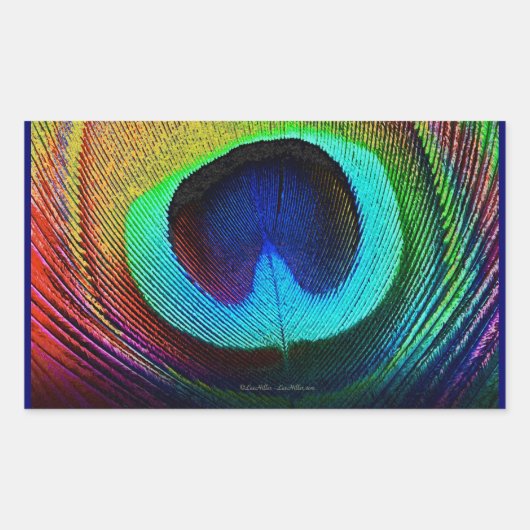 Vibrant Peacock Feather Rechthoekige Sticker (Voorkant)