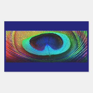 Vibrant Peacock Feather Rechthoekige Sticker