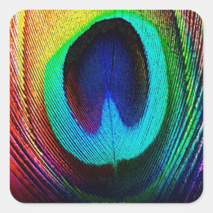 Vibrant Peacock Feather Vierkante Sticker