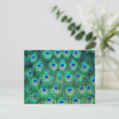 Vibrant Peacock Feathers Briefkaart (Staand voorkant)