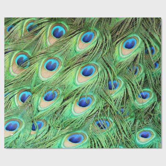 Vibrant Peacock Feathers Cadeaupapier (Vlak)