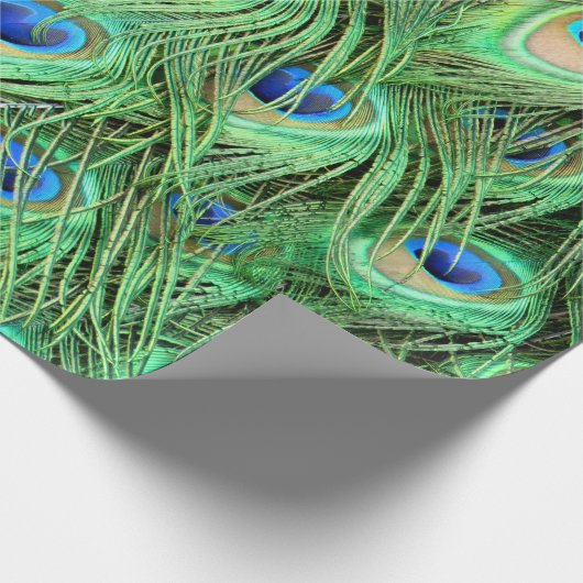 Vibrant Peacock Feathers Cadeaupapier (Hoek)