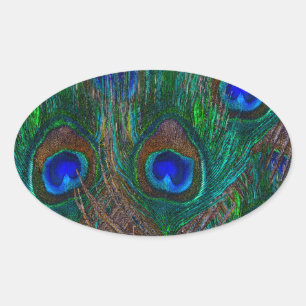 Vibrant Peacock Feathers Etching Style Decor Ovale Sticker