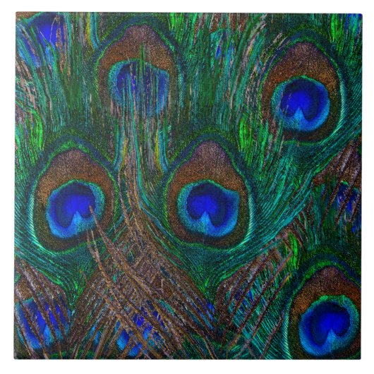 Vibrant Peacock Feathers Etching Style Decor Tegeltje (Voorkant)