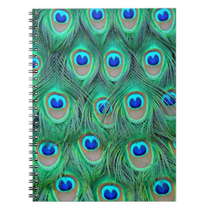 Vibrant Peacock Feathers Notitieboek