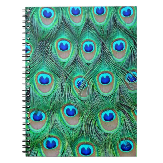 Vibrant Peacock Feathers Notitieboek (Voorkant)