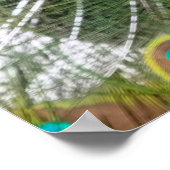 Vibrant Peacock Feathers Poster (Hoek)