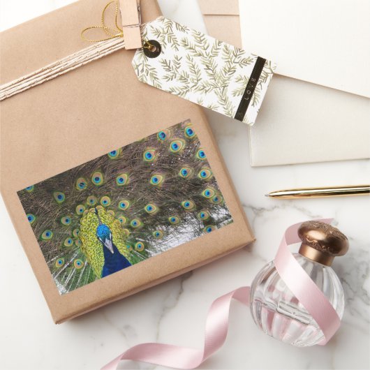 Vibrant Peacock Feathers Rechthoekige Sticker (Geschenken)