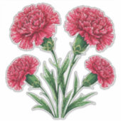 Vibrant Pink Carnations With Green Stems Sticker (Voorkant)