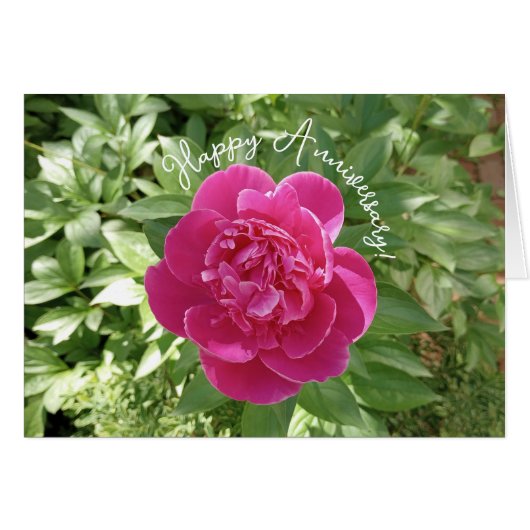 Vibrant Pink Peony Flower Anniversary Card (Voorkant Horizontaal)