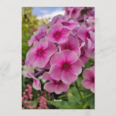 Vibrant Pink Phlox Summer Garden Wedding  Kaart (Achterkant)