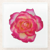 Vibrant Pink Rose Coaster Glazen Onderzetter (Voorkant)