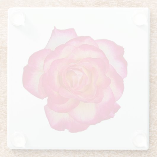 Vibrant Pink Rose Coaster Glazen Onderzetter (Achterkant)