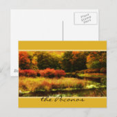 Vibrant Poconos Autumn Scene Briefkaart (Voorkant / Achterkant)