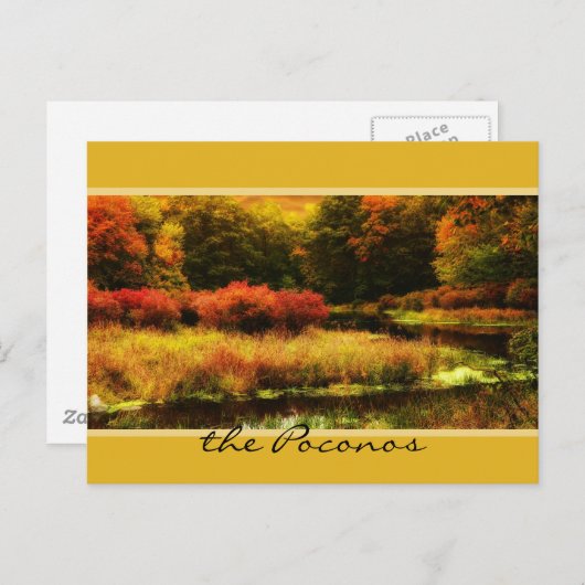 Vibrant Poconos Autumn Scene Briefkaart (Voorkant / Achterkant)