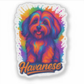 Vibrant Pop Art Havanese Dog – Colorful Street Art Sticker (Voorkant)