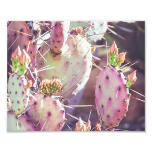 Vibrant Prickly Pear Closeup   Fotoafdrukken Foto Afdruk