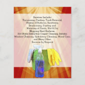 Vibrant Ray Business Kantoor Cleaning Service Flye Flyer (Achterkant)