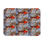 Vibrant Red ardinal Bird Perched on Branch  Magneet (Horizontaal)