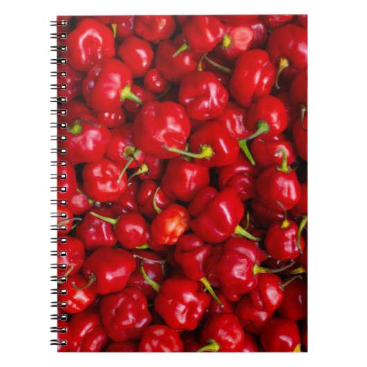 Vibrant Red Chili Pepper Harvest Notitieboek (Voorkant)