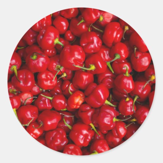 Vibrant Red Chili Pepper Harvest Ronde Sticker (Voorkant)