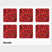 Vibrant Red Chili Pepper Harvest Vierkante Sticker (Vel)