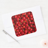 Vibrant Red Chili Pepper Harvest Vierkante Sticker (Envelop)