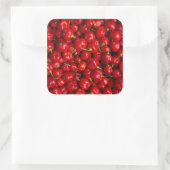 Vibrant Red Chili Pepper Harvest Vierkante Sticker (Tas)