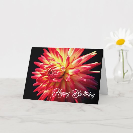 Vibrant Red Dahlia Flower Birthday Kaart (Kleine Plant)