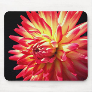 Vibrant Red Dahlia Flower Muismat