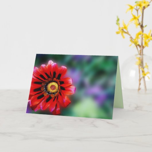 Vibrant Red Flower Gazania Floral, Blank Greeting Kaart (Gele Bloem)