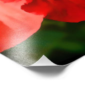 Vibrant Red Hibiscus Illustratie Foto Afdruk (Hoek)