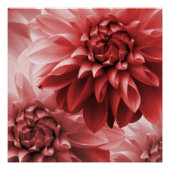 Vibrant Red monotone dahlia Perfect Poster (Voorkant)