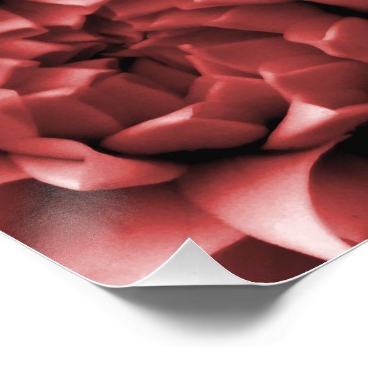 Vibrant Red monotone dahlia Perfect Poster (Hoek)