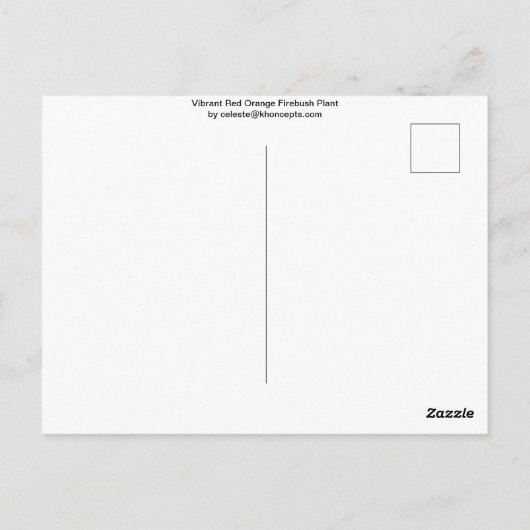 Vibrant Red Oranje Firebush Briefkaart (Achterkant)