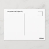 Vibrant Red Rose Briefkaart (Achterkant)