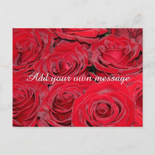 Vibrant Red Roses Briefkaart (Voorkant)