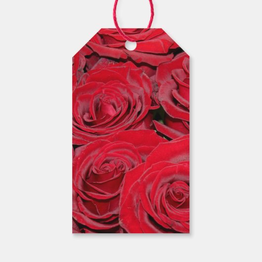 Vibrant Red Roses Persoonlijk Bericht Cadeaulabel (Achterkant)