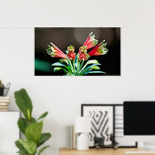 Vibrant Red Yellow Parrot Lily Poster (Thuiskantoor)