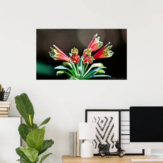 Vibrant Red Yellow Parrot Lily Poster (Thuiskantoor)