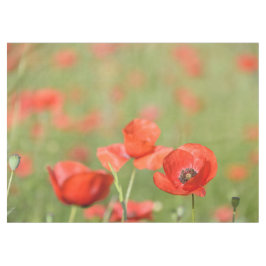 Vibrant rode papaver in een groen papaverveld tafelkleed