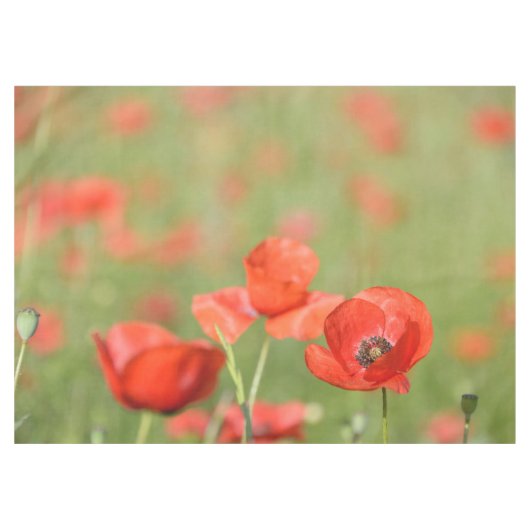 Vibrant rode papaver in een groen papaverveld tafelkleed (Voorkant (Horizontaal))