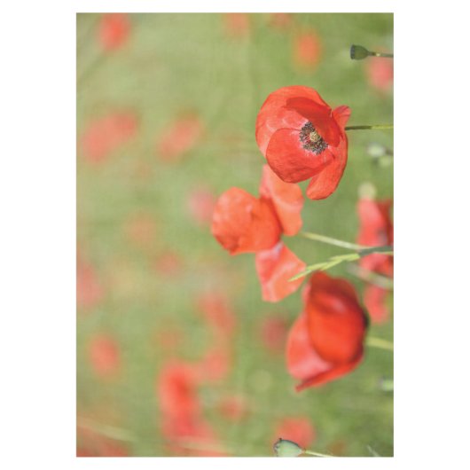 Vibrant rode papaver in een groen papaverveld tafelkleed (Voorkant)