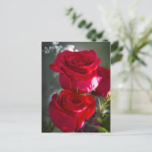 Vibrant Romantic Red Roses Briefkaart (Staand voorkant)