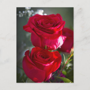 Vibrant Romantic Red Roses Briefkaart