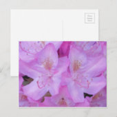 Vibrant roze Briefkaart (Voorkant / Achterkant)