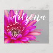 Vibrant roze Cactus Flower Petals, Arizona Briefkaart (Voorkant)