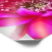 Vibrant Roze Cactus flower Petals Foto Afdruk (Hoek)