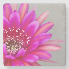 Vibrant Roze Cactus flower petals Stenen Onderzetter