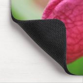 Vibrant roze dame Slipper Orchid Flower Muismat (Hoek)